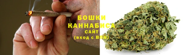 a pvp Белокуриха
