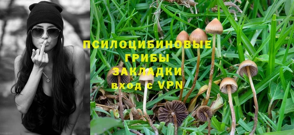 a pvp Белокуриха