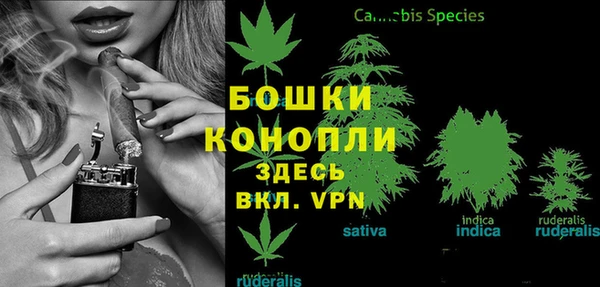 a pvp Белокуриха