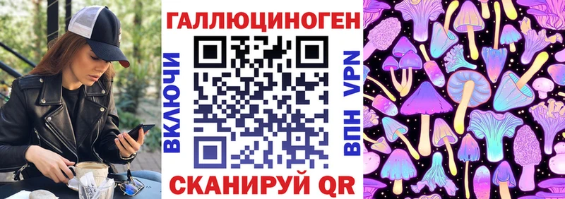 Купить где  Валдай  Галлюциногенные грибы Psilocybine cubensis 