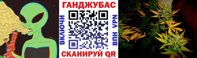 Купить закладки Валдай Каннабис план